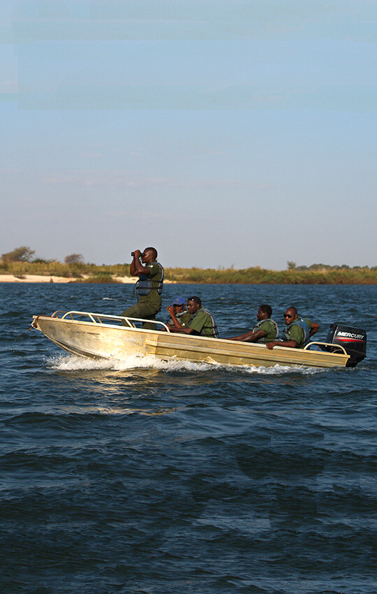 Sikunga Fish Guards with boat on Zambezi River, Namibia